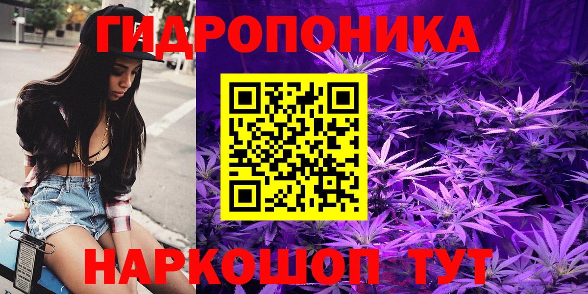 Марихуана план Дивногорск